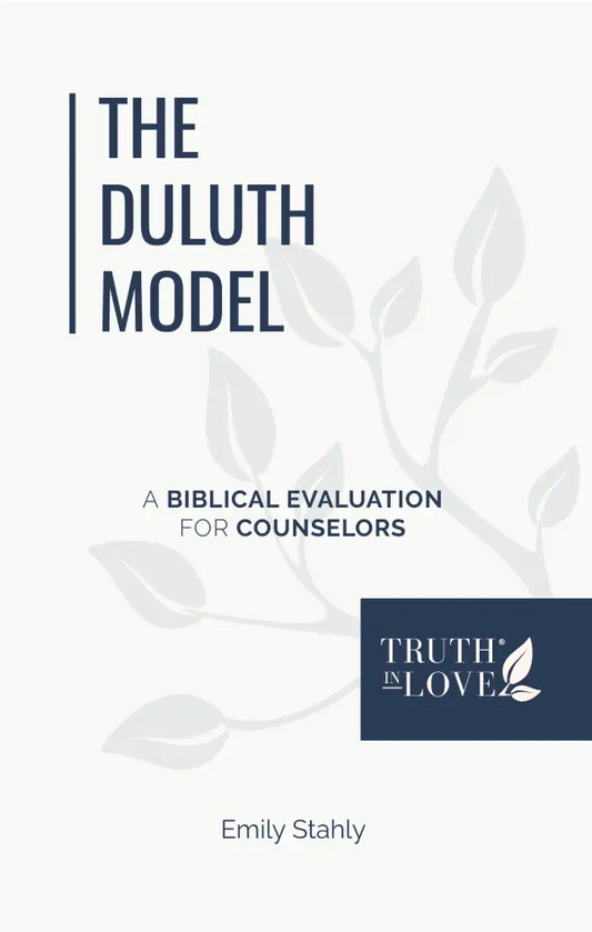 The Duluth Model by Emily Stahly - Mini Books