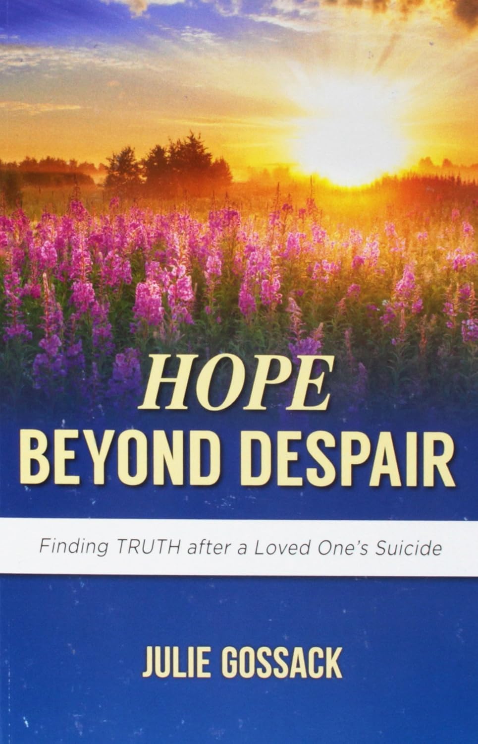 Hope Beyond Despair: Finding Truth After a Loved One's Suicide by Julie Gossack - Booklet