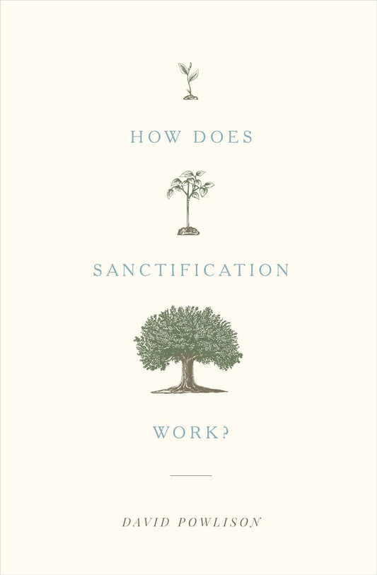 How Does Sanctification Work? by David Powlison