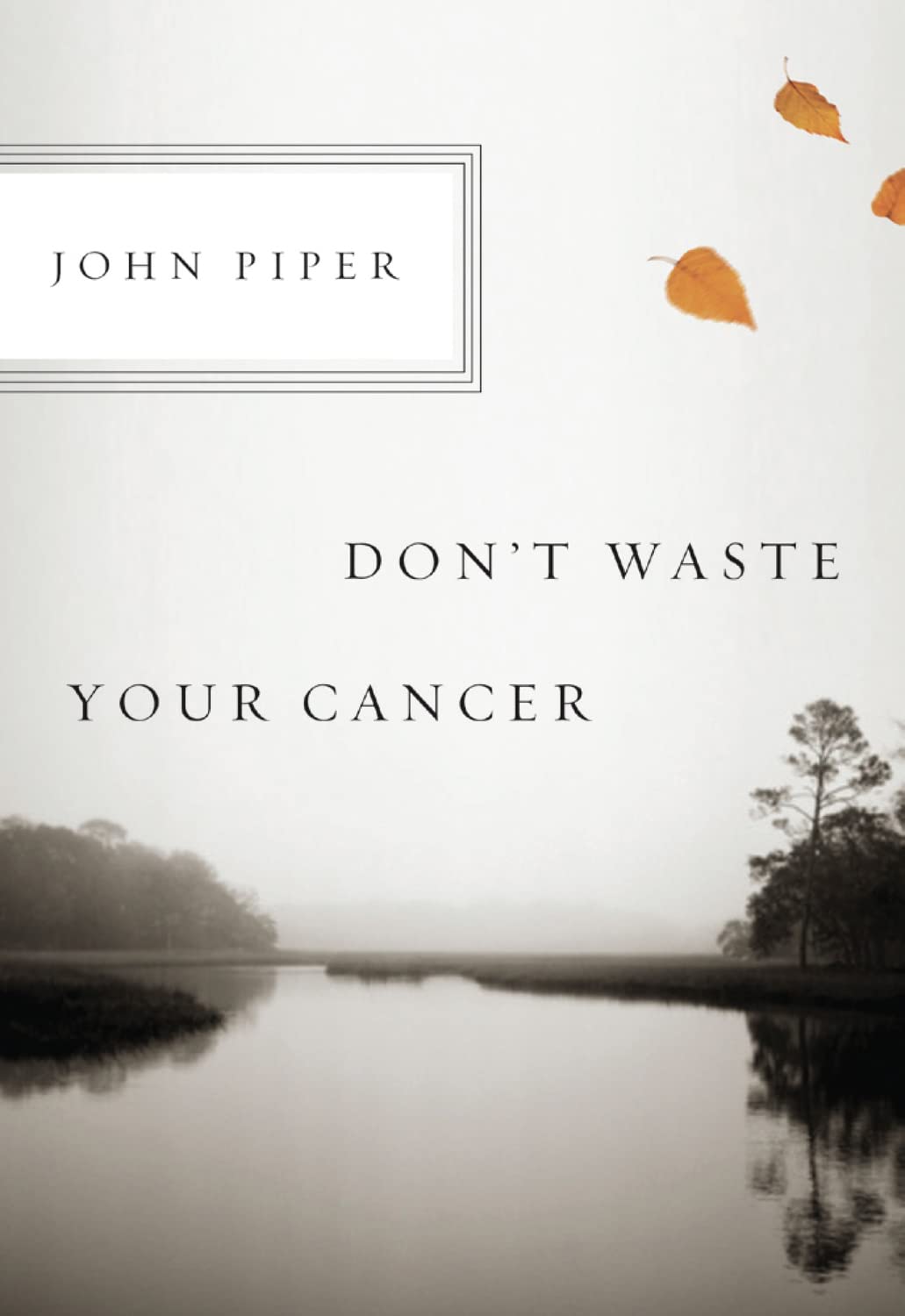 Don't Waste Your Cancer by John Piper - Mini Book