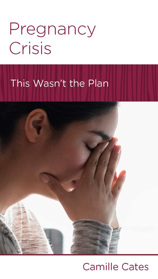 Pregnancy Crisis: This Wasn't the Plan by Camille Cates - Mini Book