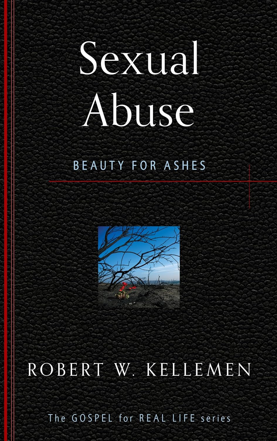 Sexual Abuse: Beauty for Ashes by Robert W Kellemen - Booklet