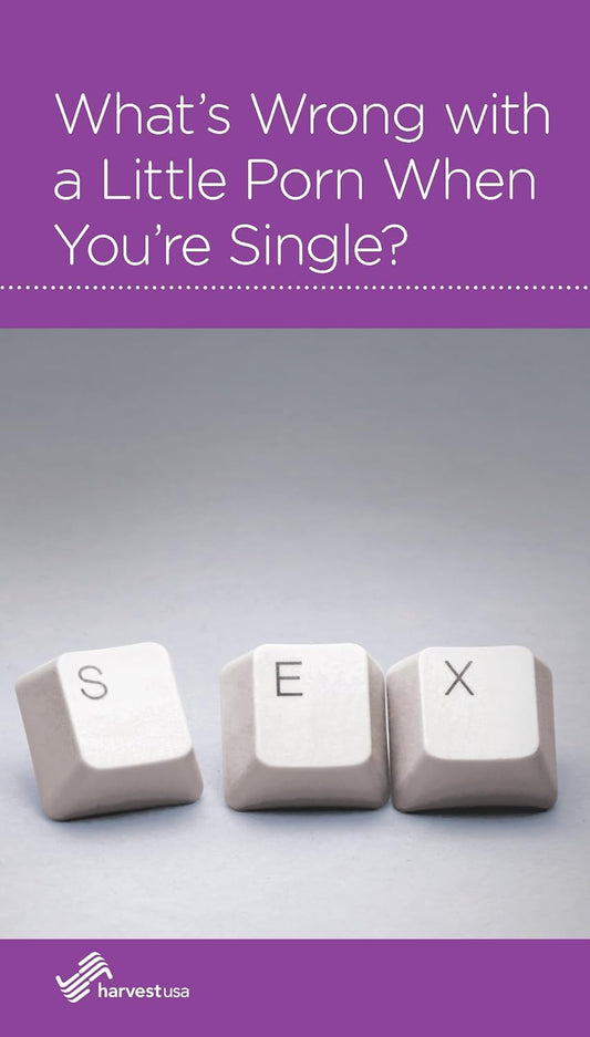What's Wrong with a Little Porn When You're Single? by R Nicholas Black - Mini Book