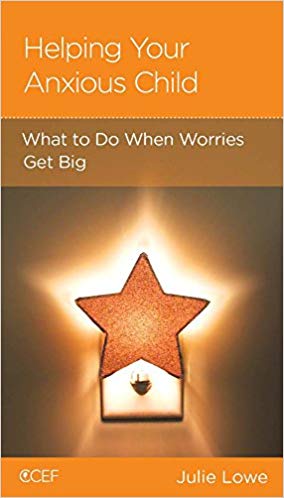 Helping Your Anxious Child: What to Do When Worries Get Big by Julie Lowe -  Mini Book