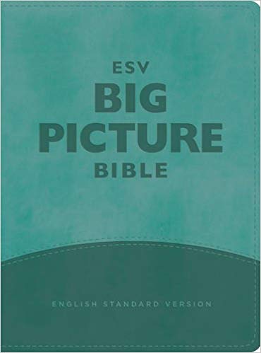 ESV Big Picture Bible TruTone Teal